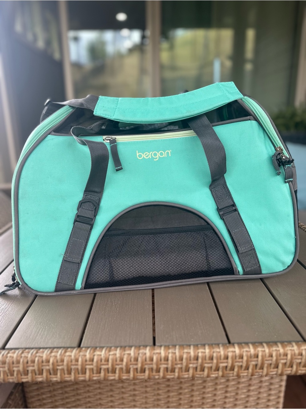 Teal Soft-Sided Small Pet Carrier